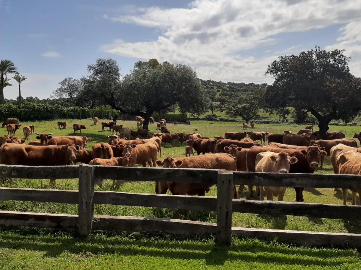 Alojamiento Rural Finca Barral El Garrobo Bagian luar foto