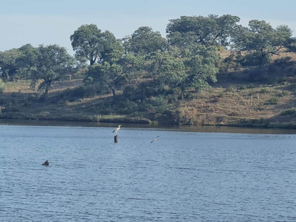 Alojamiento Rural Finca Barral El Garrobo Bagian luar foto