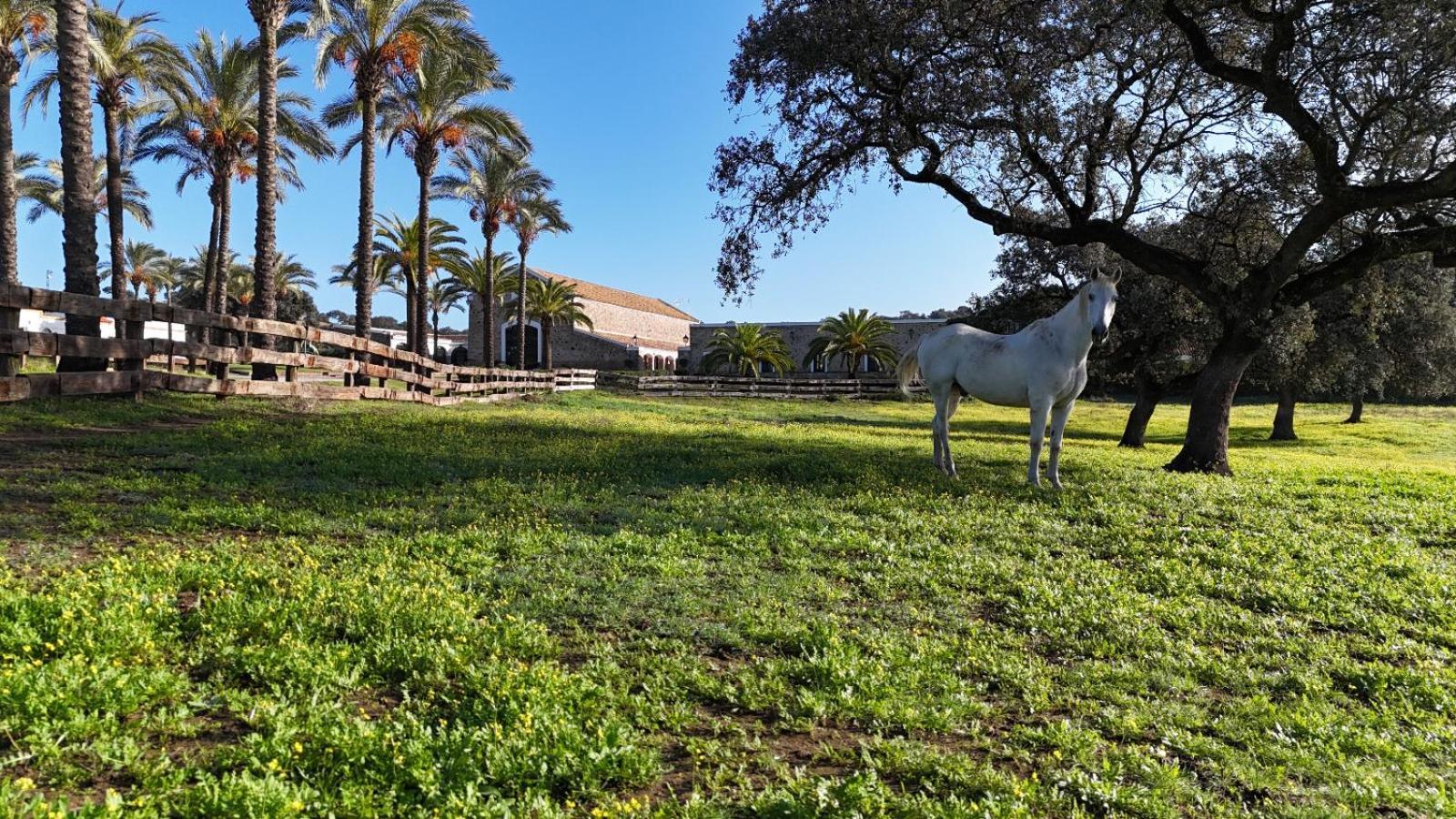 Alojamiento Rural Finca Barral El Garrobo Bagian luar foto