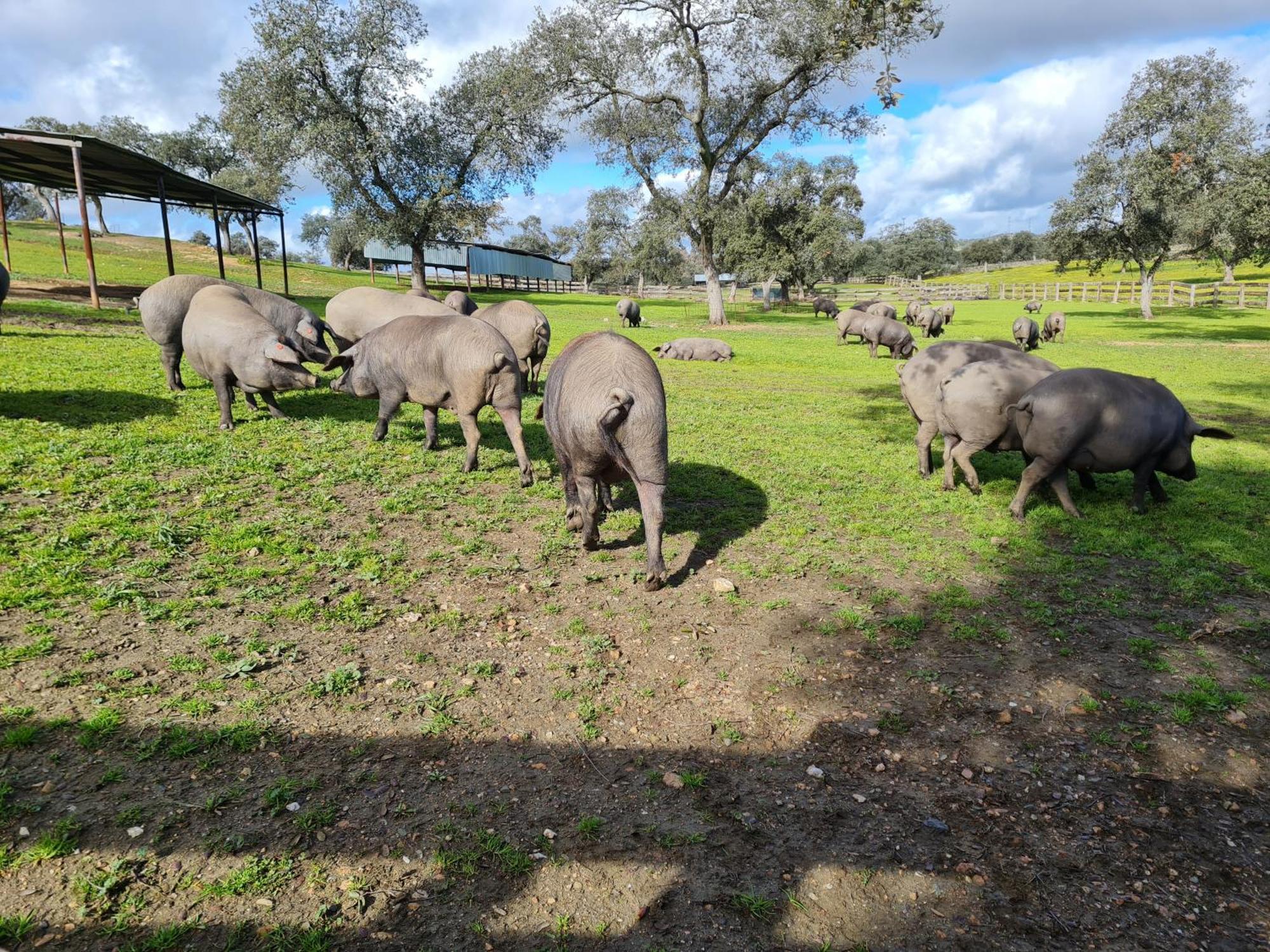 Alojamiento Rural Finca Barral El Garrobo Bagian luar foto