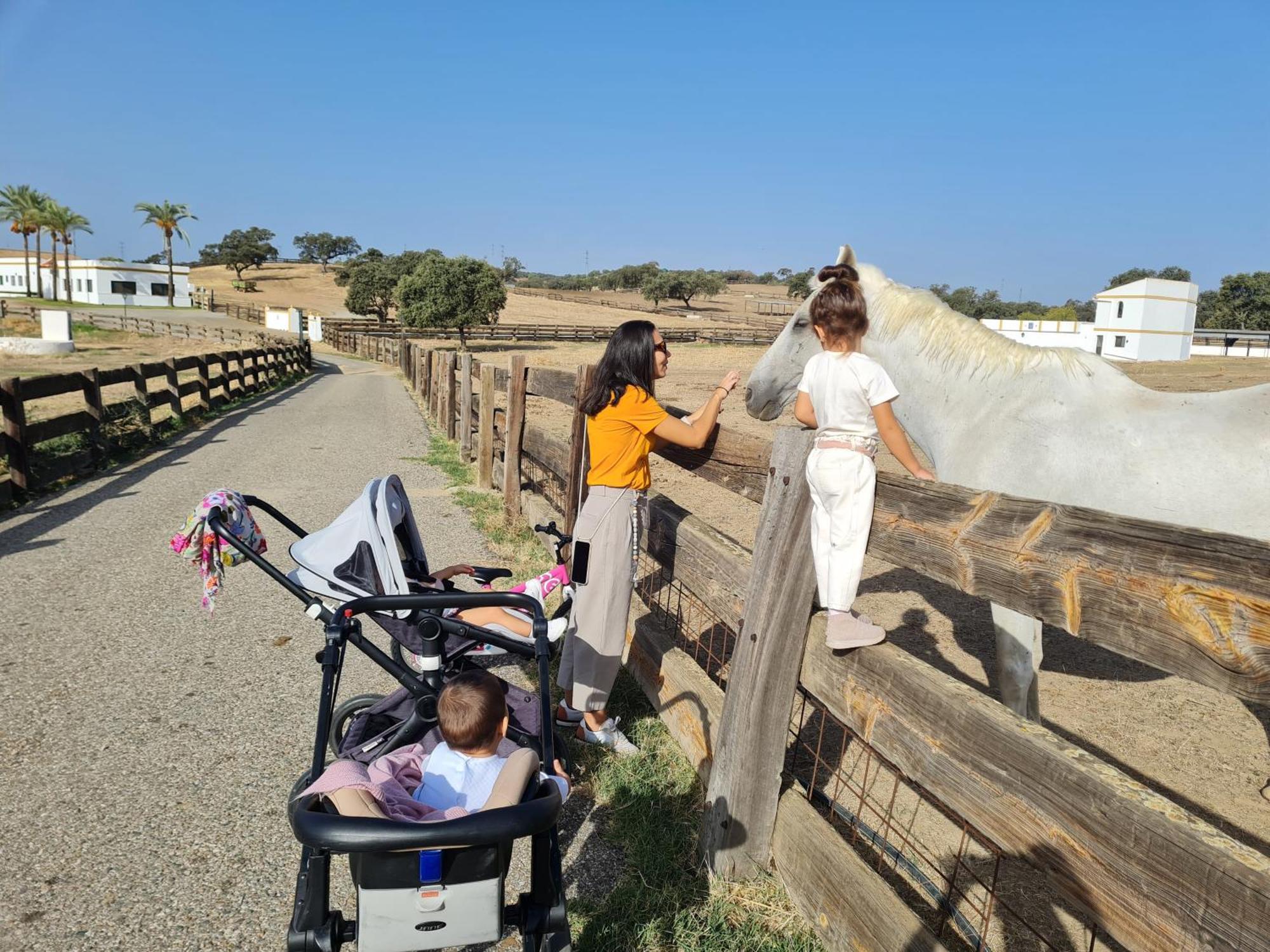 Alojamiento Rural Finca Barral El Garrobo Bagian luar foto