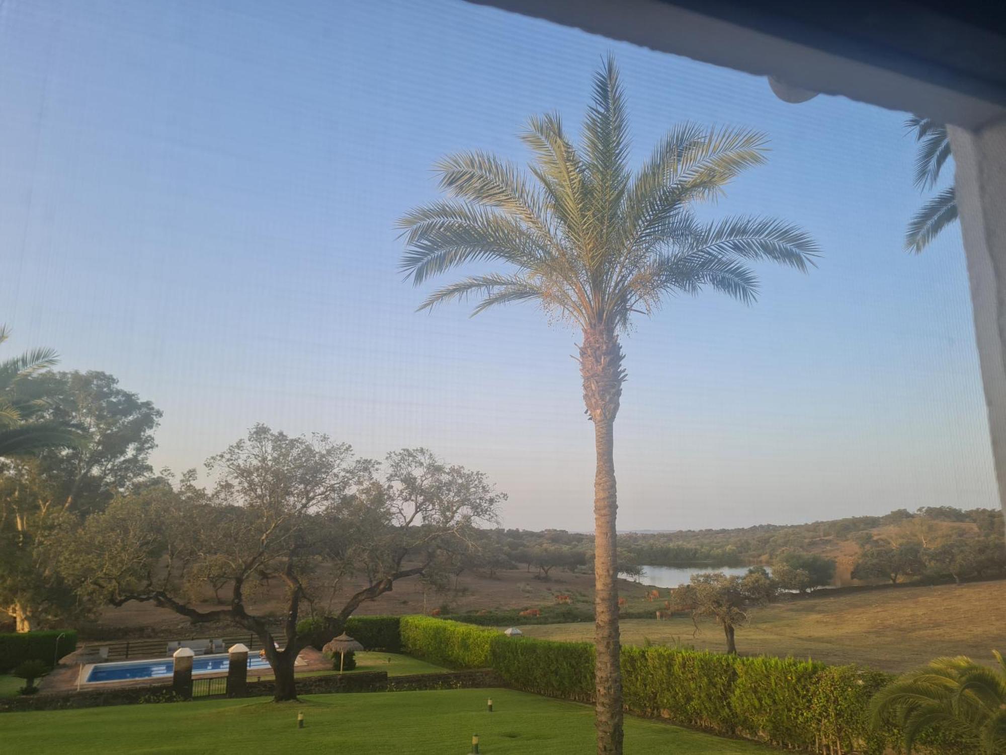 Alojamiento Rural Finca Barral El Garrobo Bagian luar foto