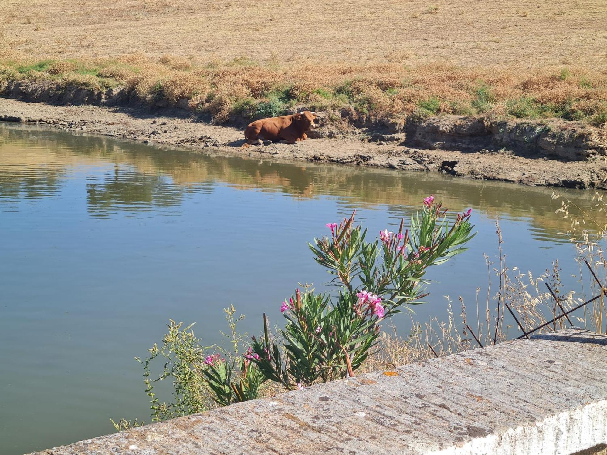 Alojamiento Rural Finca Barral El Garrobo Bagian luar foto